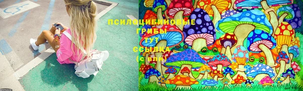 спайс Алексин