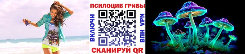 Псилоцибиновые грибы прущие грибы  купить   Клин 