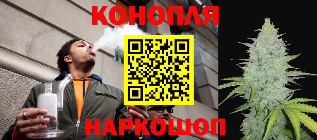 Каннабис OG Kush  Конопля Ganja  МАРИХУАНА сатива  Клин  Вход с VPN  Каннабис планчик 
